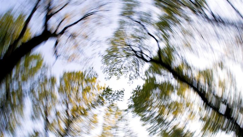 頭暈、胸悶、喘吁吁？當心二尖瓣逆流