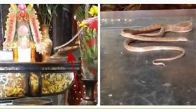 南投松柏嶺　受天宮靈蛇（圖／翻攝畫面）