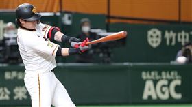 ▲讀賣巨人野手陽岱鋼。（圖／翻攝自讀賣巨人台灣粉絲團）
