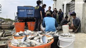 移民署查緝非法漁工不遺餘力。（圖／翻攝畫面）