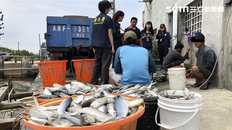 台灣防制人口販運　再獲評第1級國家