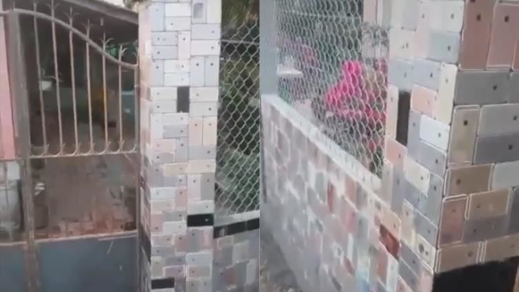 土豪式炫法！超狂果粉百支i6當壁貼