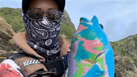 日本,沖繩,魚,油漆,紫錦魚,紫衣葉鯛。(圖/翻攝自@azusa54
推特)