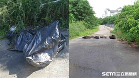 彰化流浪狗遭虐殺／翻攝畫面