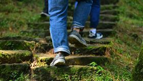 美魔女.爬山,搭訕.放生(翻攝自 Pixabay)