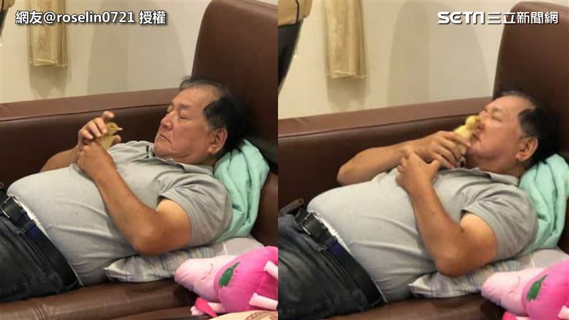 網友孵鴨爸唱衰　今埋頭吸鴨笑翻眾人