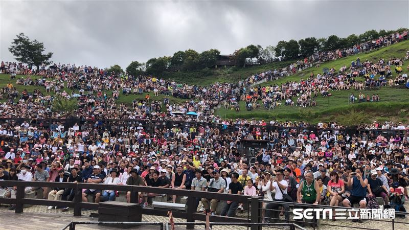 清境農場單日湧入5千遊客　住房全滿