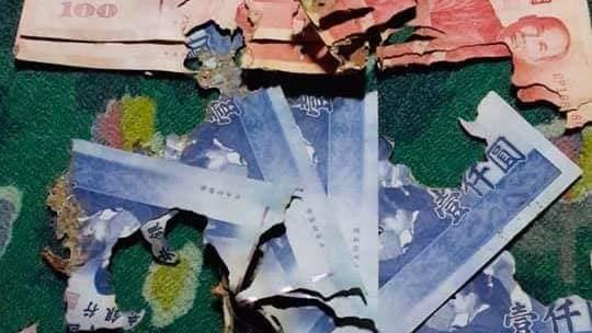 書桌遭白蟻入侵　他檢查私房錢…哭了