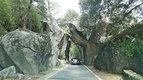 名家專用／草根影響力新視野（勿用）