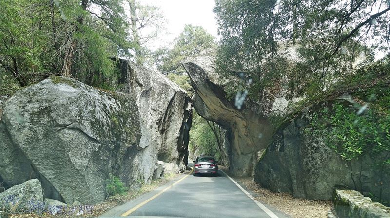防疫公路旅遊盛行　8招規劃小撇步
