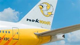 泰國廉價航空公司酷鳥航空27日表示，董事會決定解散公司進行精算。（圖／翻攝自酷鳥航空網頁nokscoot.com）
