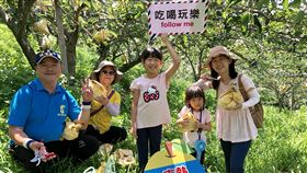 端午連假　民眾農村體驗採果樂水土保持局台中分局串聯台中山城一帶的東勢等區農會，規劃「浪漫台山線農村防疫安心旅遊」系列活動，27日由東勢區農會率先開跑，與市區多家旅宿業者合作，推出梨產業體驗小旅行，大小朋友親手摘梨樂開懷。（東勢區農會提供）中央社記者郝雪卿傳真　109年6月27日