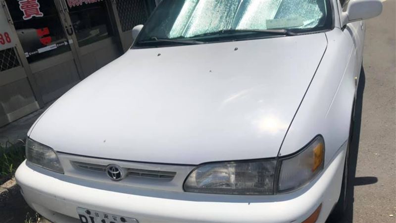 擋店門！他1招0距離報復　車主現身