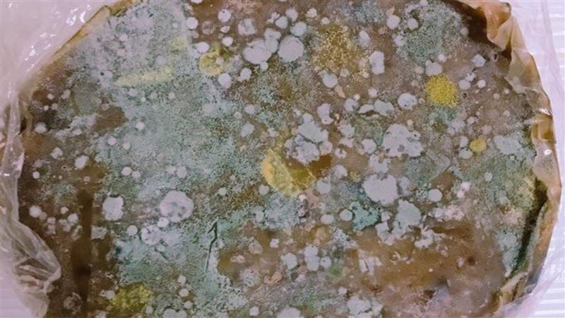 食物發霉刮掉就能吃　他揭媽巫婆料理