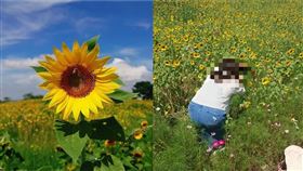 為了打卡！她竟一腳狂踩花海「喊這句」　網氣炸：亡美出沒（圖／翻攝自爆料公社）