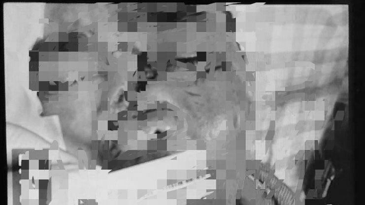 墾丁驚傳野狗咬人　遊客血肉模糊送醫