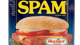 肉罐頭鹹爆（圖／翻攝自Costcoc好市多線上購物）