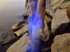 名家專用／台灣旅行趣（勿用）