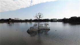 桃園,高城埤塘公園（圖／翻攝自Google Map）