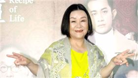 龍劭華、吳秀珠、葉天倫、李冠毅、嚴正嵐、曾子益、黃聖雅、黃露瑤等出席《老姑婆的古董老菜單》開播記者會（華視提供）