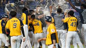 中信兄弟挑戰上半季冠軍。（圖／中信兄弟提供）