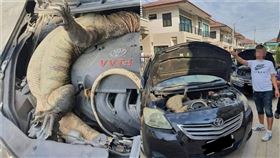 車子發不動…引擎蓋一開：巨型蜥蜴翻肚卡住　眾人嚇呆