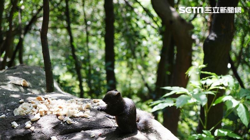 北部及南部有局部36度以上高溫發生的機率，外出請注意做好防曬並多補充水分。（圖／記者李鴻典攝）