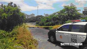 彰化芳苑狗狗遭虐殺晾一排／翻攝畫面