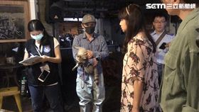 台北,咖啡店,浣熊,虐待動物,道歉 （圖／記者 李依璇攝影）