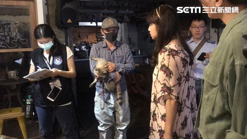 寵物咖啡館爆虐浣熊　負責人發文道歉