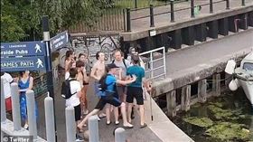 ▲倫敦運河旁的天鵝事件。（圖／翻攝自推特）