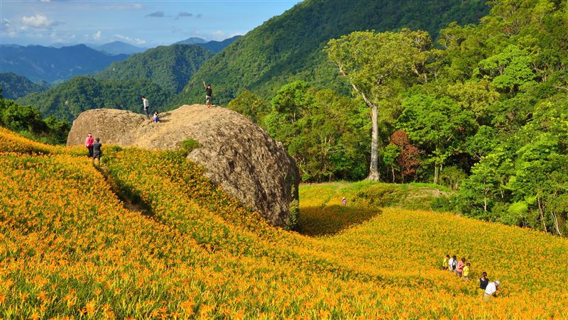 賞花啖美食　花蓮赤科山農遊享優惠
