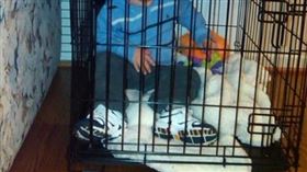 狗籠 男童
https://www.flickr.com/photos/stevehersh/4372424604/in/photolist-bGVP2X-qsJ8v-2aoaLVM-ag1Rco-bcRJVK-7JTq9i-4yGQWH-4yGQEr-22aSEFG-2kBNJ-RDe7PP-7WG3am-7oJRtP-7zzqWb-zzU2r-9wiqB6-5qdDwJ-7EnPv7-2hPe