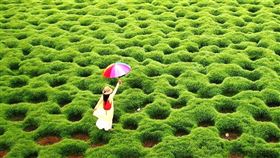  名家專用／台灣旅行趣（勿用）