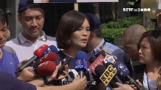 藍佔立院目的？綠轟「幫李眉蓁輔選」