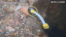 ▲意外撿到有金屬反應的石頭。（圖／大海旅人吳威毅 授權）