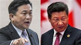民進黨立委王定宇、中華人民共和國領導人習近平（示意圖／資料照）