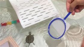 1000元撈烏龜！（圖／翻攝自爆怨公社）