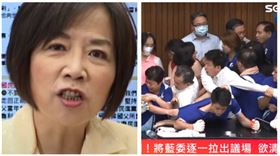 黃智賢,國民黨立委