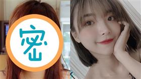 一隻阿圓。（圖／翻攝自一隻阿圓IG）