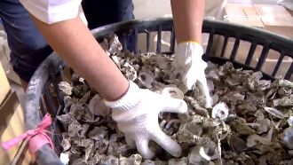 廢蚵殼再利用　3功效成洗滌蔬果利器