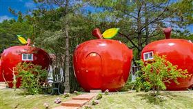  名家專用／台灣旅行趣（勿用