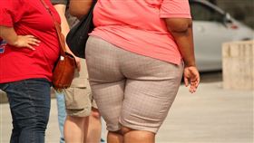 大屁股、肥胖、抽脂、減肥、瘦身、減重、腰圍、過重、胖子、肥肚腩、啤酒肚 (示意圖／PIXABAY)