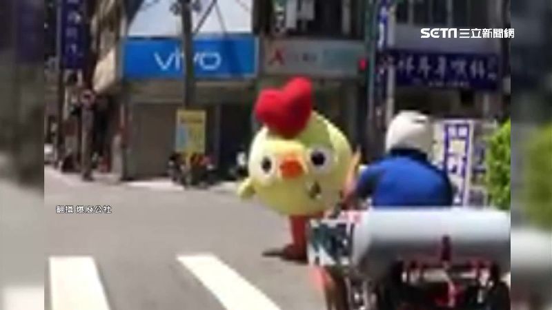小雞高溫上街　網讚：工讀生辛苦了