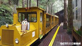 宜蘭,太平山,蹦蹦車,太平山蹦蹦車
圖／翻攝自羅東林管處官網、太平山國家森林遊樂區臉書