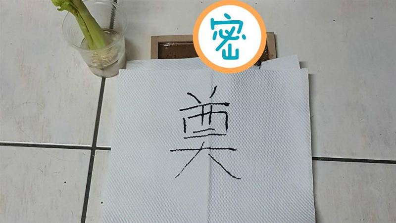 黏鼠板抓到牠　女辦告別式：快點斷氣