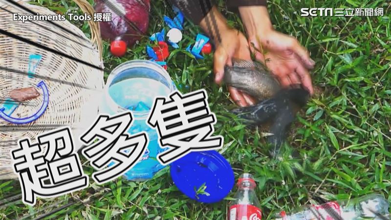 用2樣工具速抓魚　網驚：抓了整家族