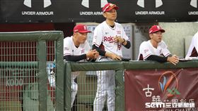 ▲樂天桃猿總教練曾豪駒。（圖／記者劉彥池攝影）