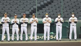▲阪神虎教練團。（圖／美聯社／達志影像）
