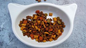 貓糧　貓飼料（示意圖／翻攝自pixabay）